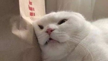 正大量上市！南昌人速看