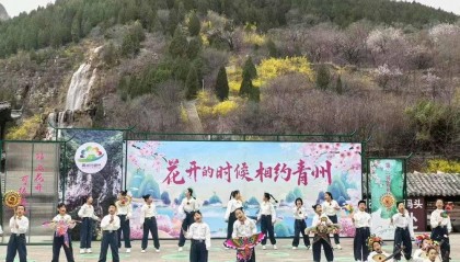 潍坊青州：以花为媒，打造春日消费新场景