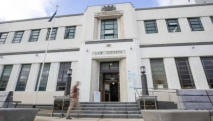 在新西兰捡海带卖，重罚$5万纽币！网友群嘲