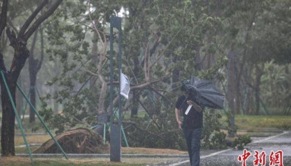 台风“蝴蝶”带来较强风雨影响三亚