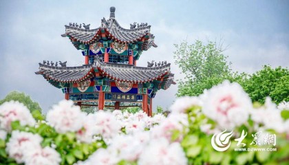 菏泽，太“奢侈”！