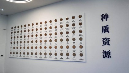 阿坝典范 开局突破｜政企研协同发力 红原牧草交易中心开拓牧旅融合新路径