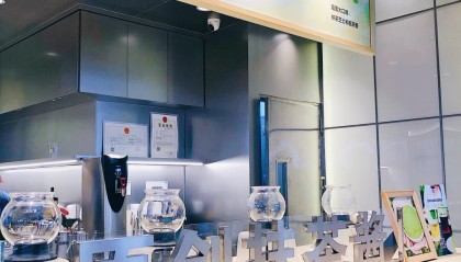 抹茶平台(抹茶平台创始人)