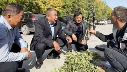 全疆首家!石河子中药材交易中心开市