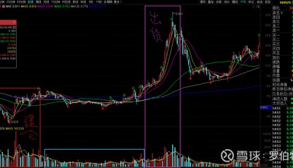中银中国基金163801净值(中银中国基金163801净值猫叫)