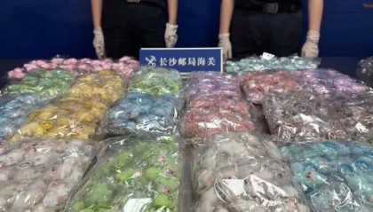 海关查获600个盗版迷你LABUBU；开售当晚多平台售罄，二手平台隐藏款已被炒至上千元