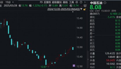 中国石油，全年派息860亿元