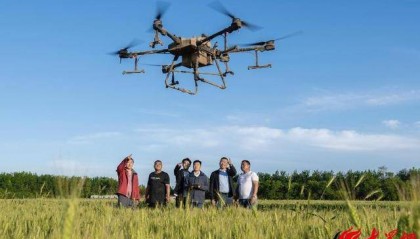 把地种得更好——潍坊市潍城区一案例入选省级典型