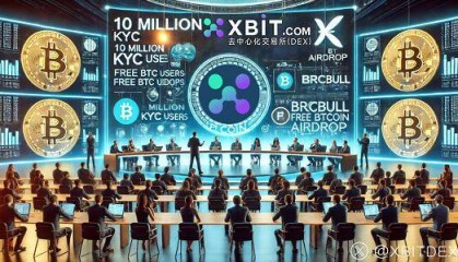 市场环境改善XBIT交易平台成为币圈投资者避风港