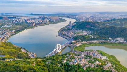 浙江玉环：城市“候鸟”，有“枝”可依