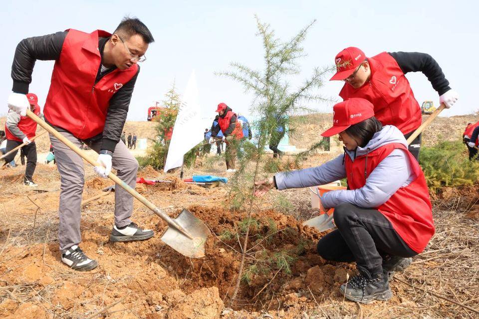 中国农业银行威海分行：以绿色金融绘就生态威海新画卷