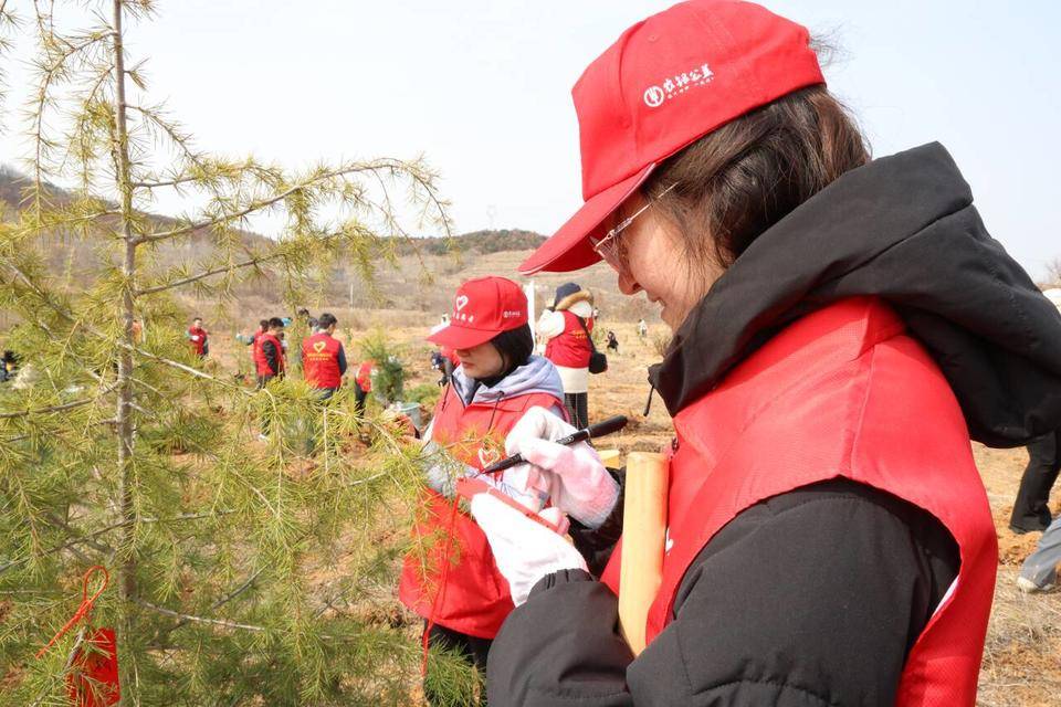 中国农业银行威海分行：以绿色金融绘就生态威海新画卷