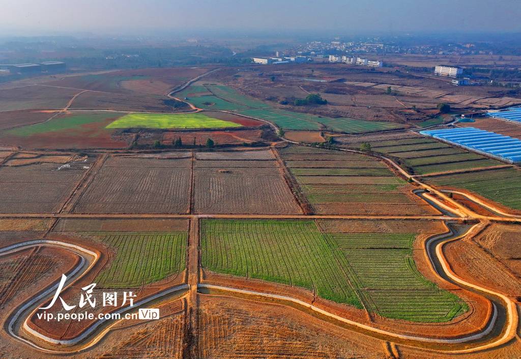 江西宜春：清淤筑渠备春耕