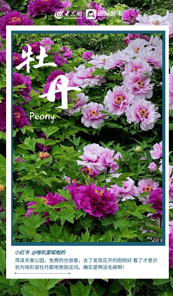 菏泽，太“奢侈”！