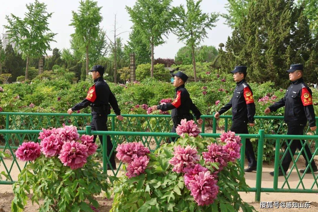 感知山东| 菏泽公安全力保障2025菏泽牡丹节会