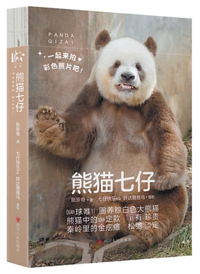 一起来拍彩色照片吧