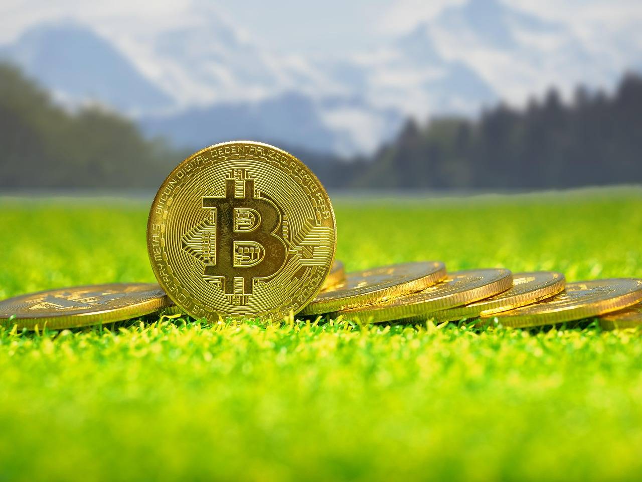 涉案的虚拟货币价值多少，司法机关能定价吗？