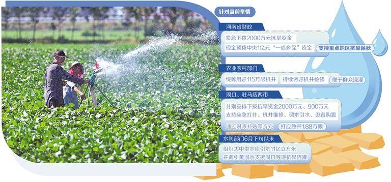 抗旱保秋河南在行动