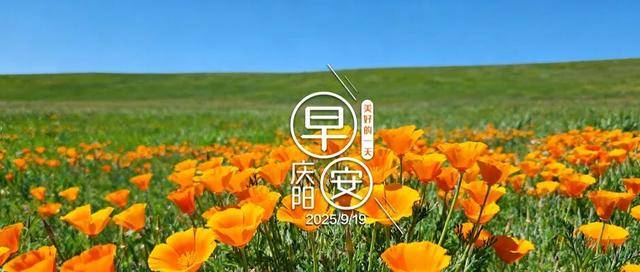 早安庆阳丨事关育儿补贴，这些行为将被追责→
