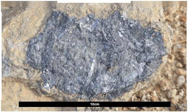 Lithium Plus Minerals (ASX:LPM)拟在中国东营综合保税区打造锂矿石加工交易中心