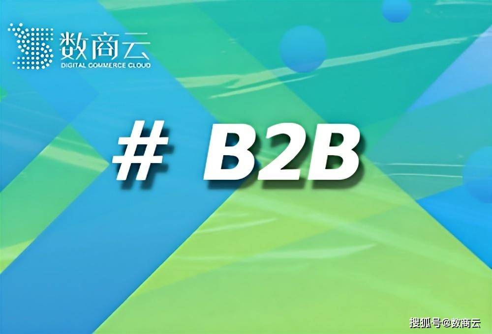 B2B撮合交易平台搭建费用全攻略：数商云如何助力企业实现长期价值？