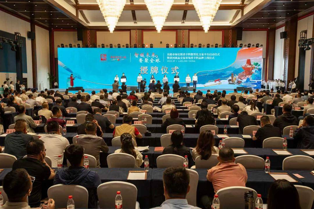 乐陵杨安镇香辛料数智化交易平台正式启动