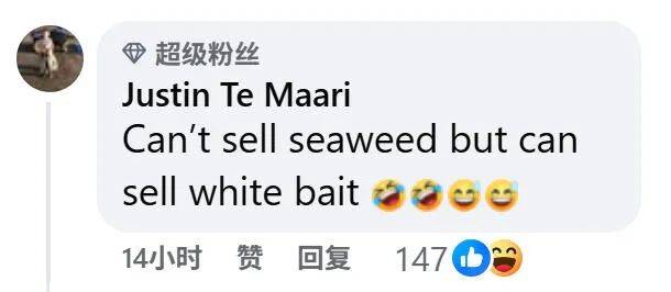 在新西兰捡海带卖，重罚万纽币！网友群嘲