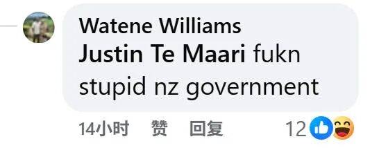 在新西兰捡海带卖，重罚万纽币！网友群嘲