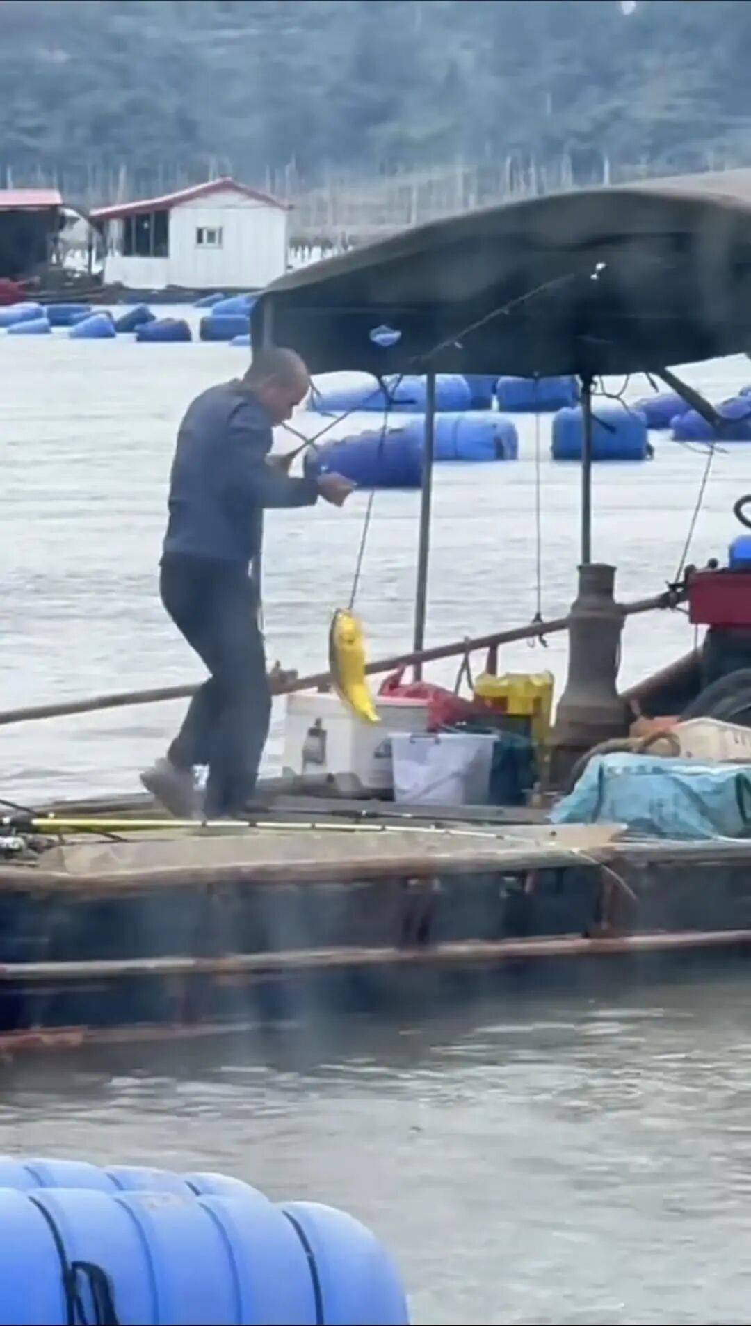 福建大爷海上钓起一条“黄金鱼”,引得围观群众“哇声一片”,有人估算一条能卖2万多