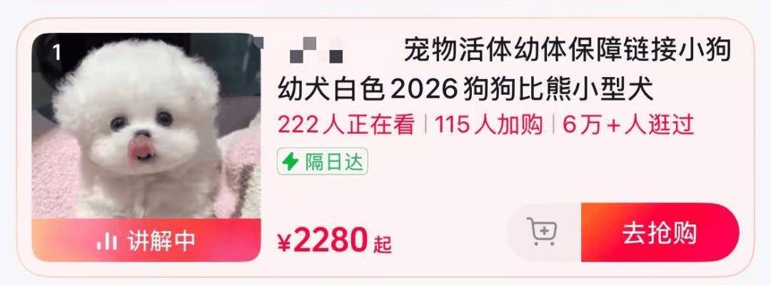 告别“买宠开盲盒”！6月以来平台密集出拳，宠物交易迎来大洗牌