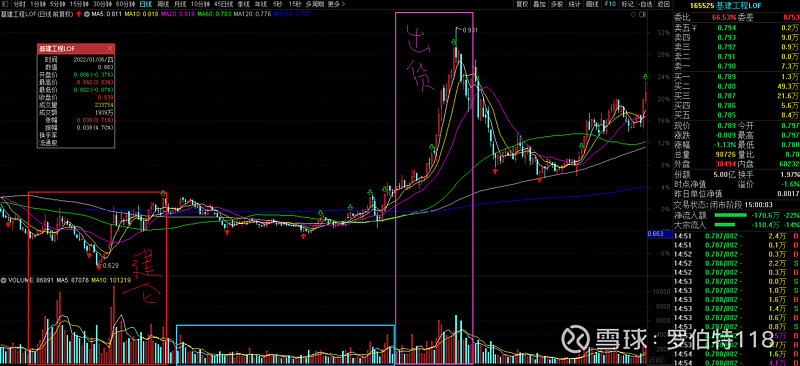 中银中国基金163801净值(中银中国基金163801净值猫叫)